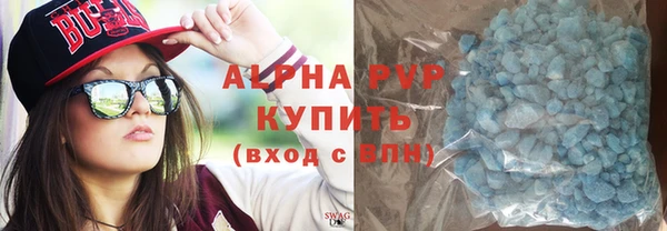 гашик Алексин