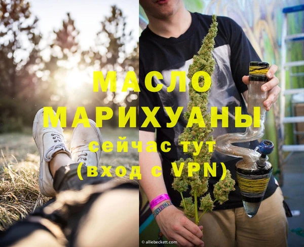 гашик Алексин