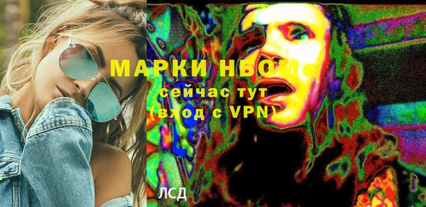 гашик Алексин
