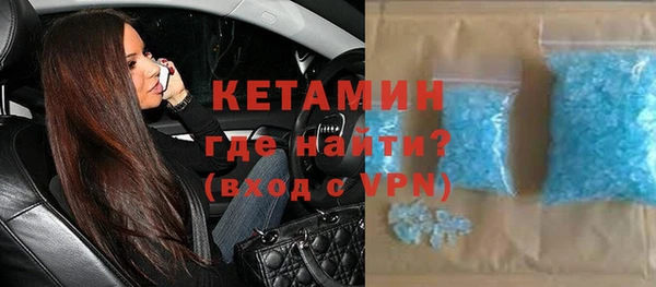 гашик Алексин