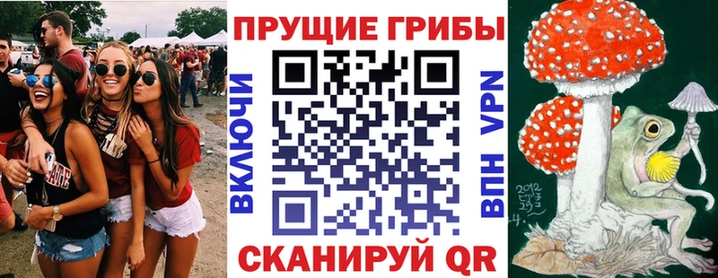 darknet состав  Архангельск  Галлюциногенные грибы Psilocybine cubensis 